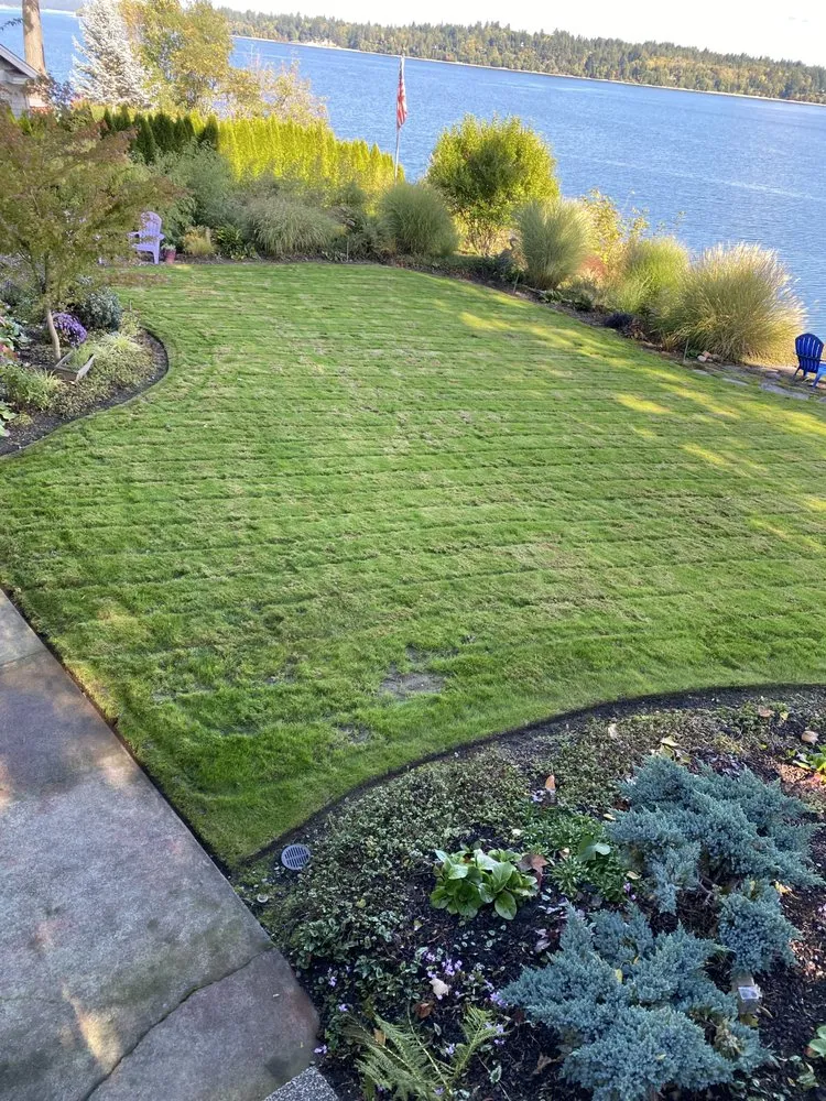 Custom landscaping services for homes across Olympia, WA - Gerardo Yard Maintenance