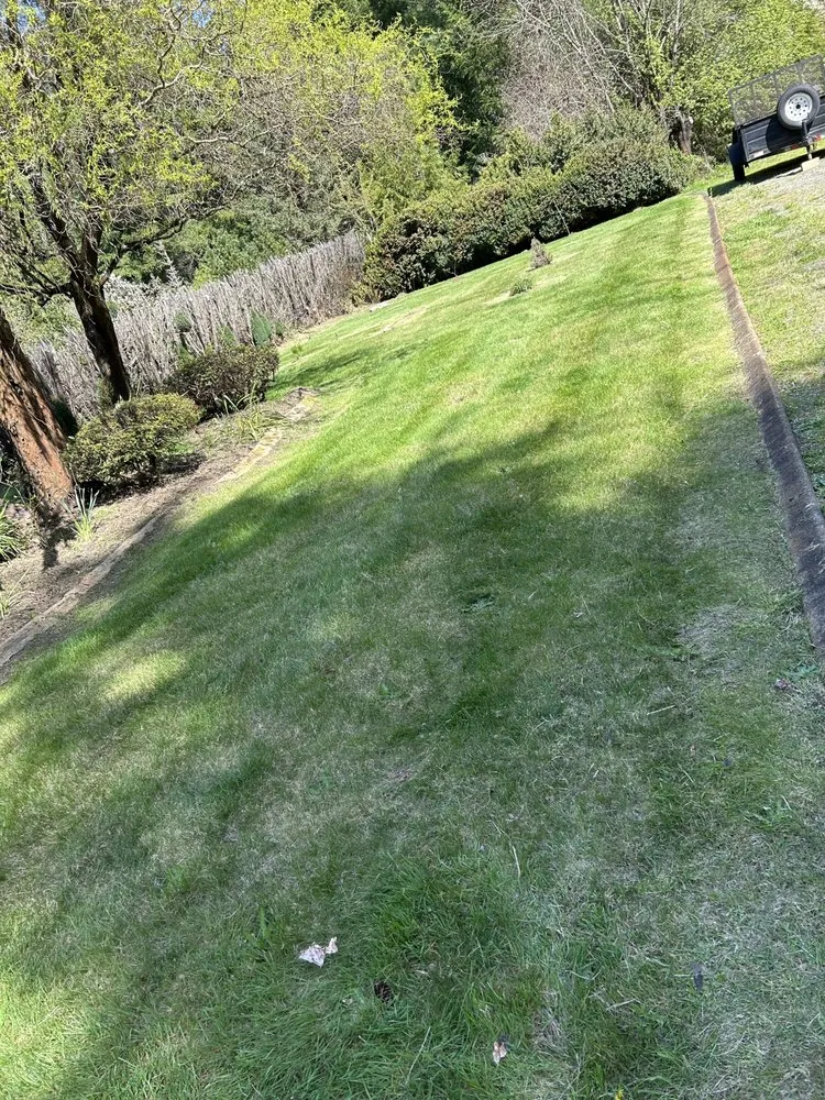 Expert lawn care service in Olympia, WA by Gerardo Yard Maintenance