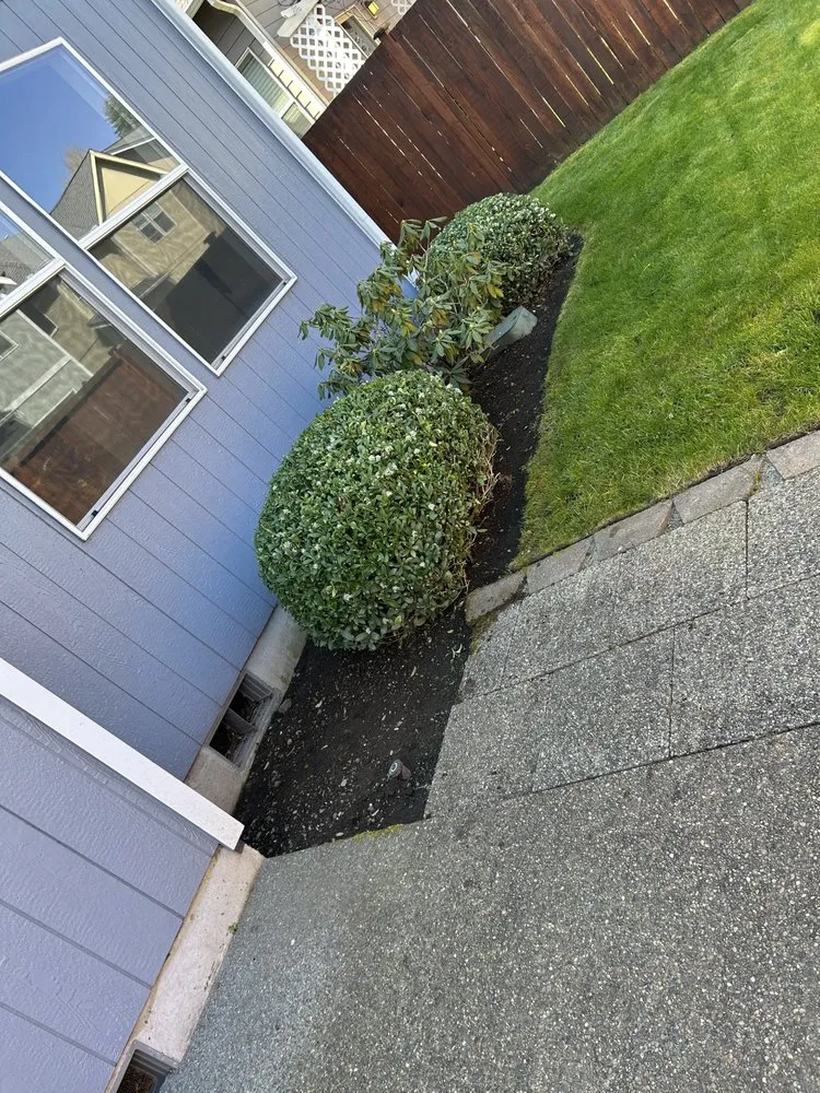 Reliable landscape design in Olympia, WA by Gerardo Yard Maintenance