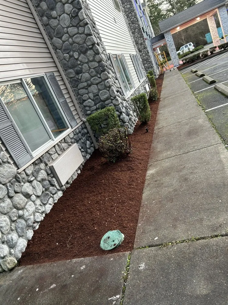 Expert landscape installation in Olympia, WA by Gerardo Yard Maintenance