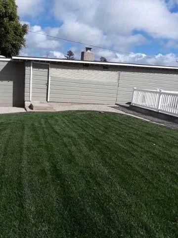 Professional yard maintenance for year-round maintenance in Camarillo, CA by Gerardo’s Landscaping Services