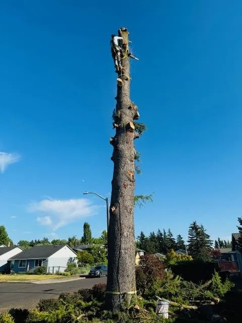Local garden landscaping in Gresham, OR - Gerardo's Tree Services