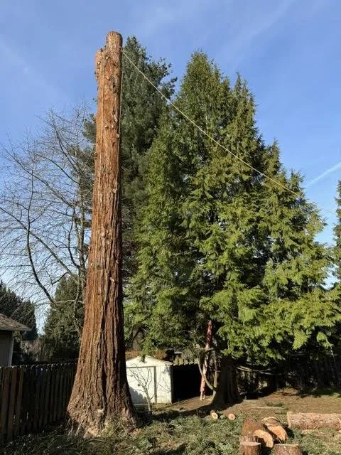 Expert landscaping services experts serving Gresham, OR - Gerardo's Tree Services