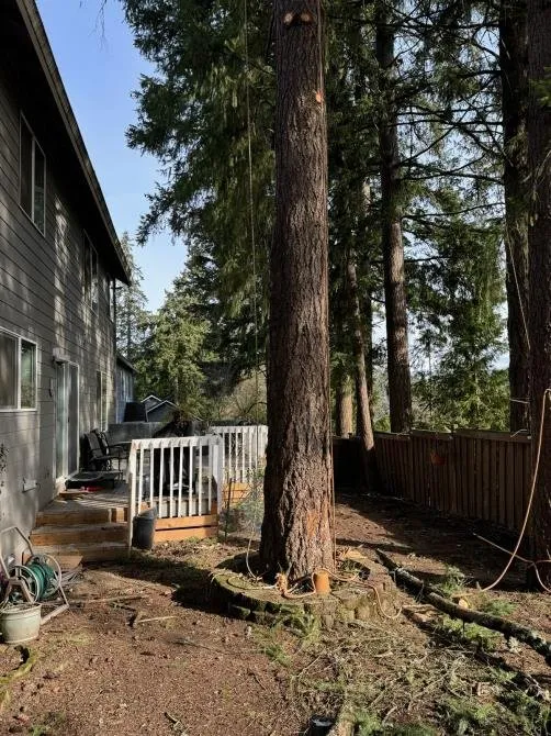 Reliable landscape installation in Gresham, OR - Gerardo's Tree Services