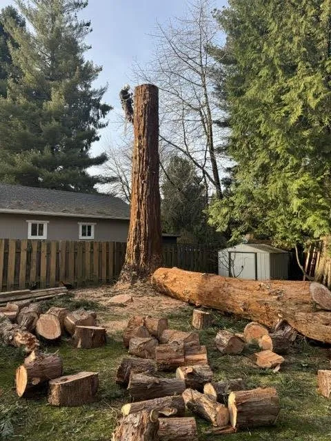 Affordable yard cleanup service for beautiful yards across Gresham, OR - Gerardo's Tree Services