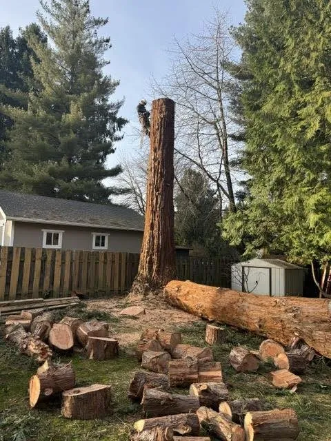 Reliable lawn care service in Gresham, OR by Gerardo's Tree Services