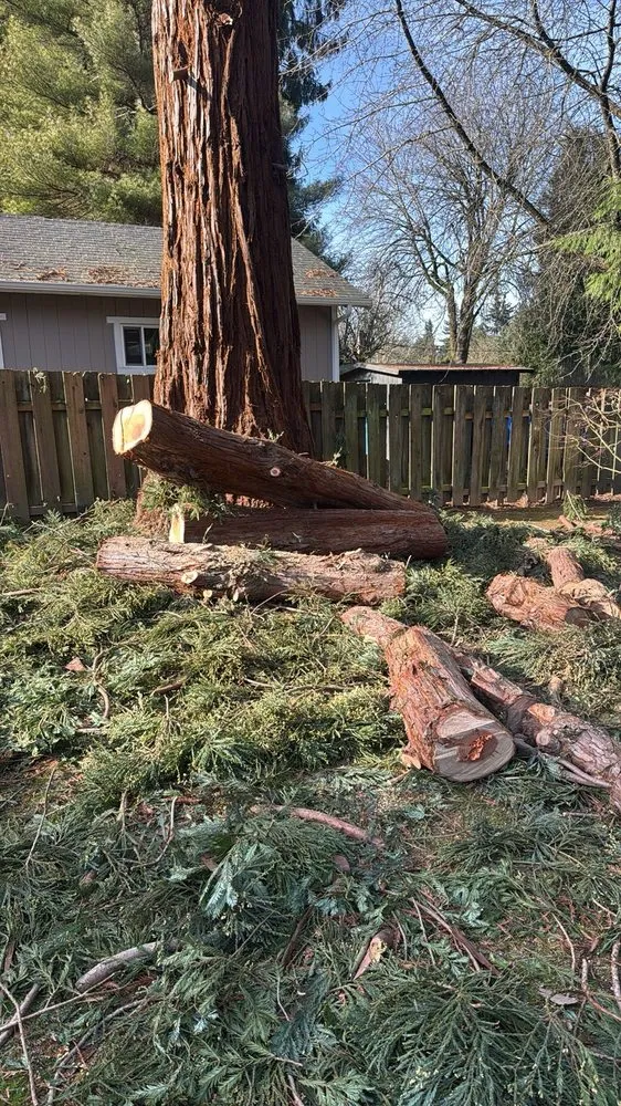 Professional landscaping services in Gresham, OR by Gerardo's Tree Services