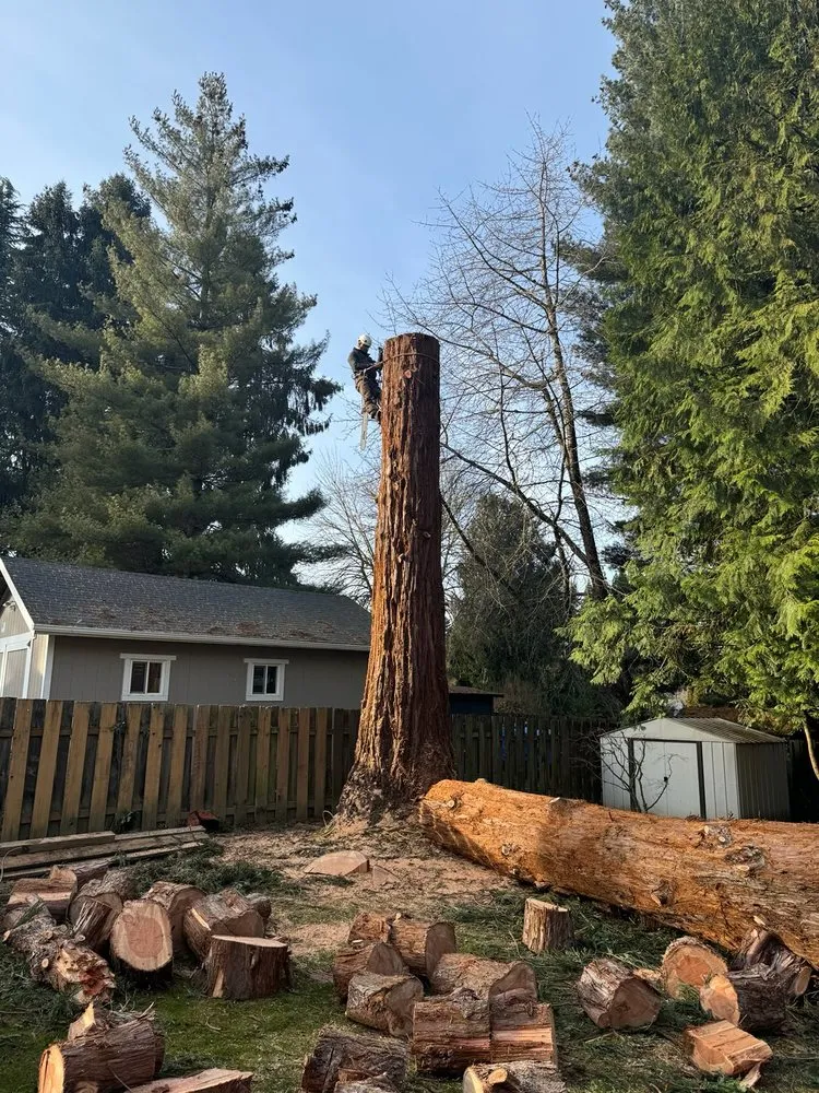 Local yard maintenance for residential properties in Gresham, OR by Gerardo's Tree Services