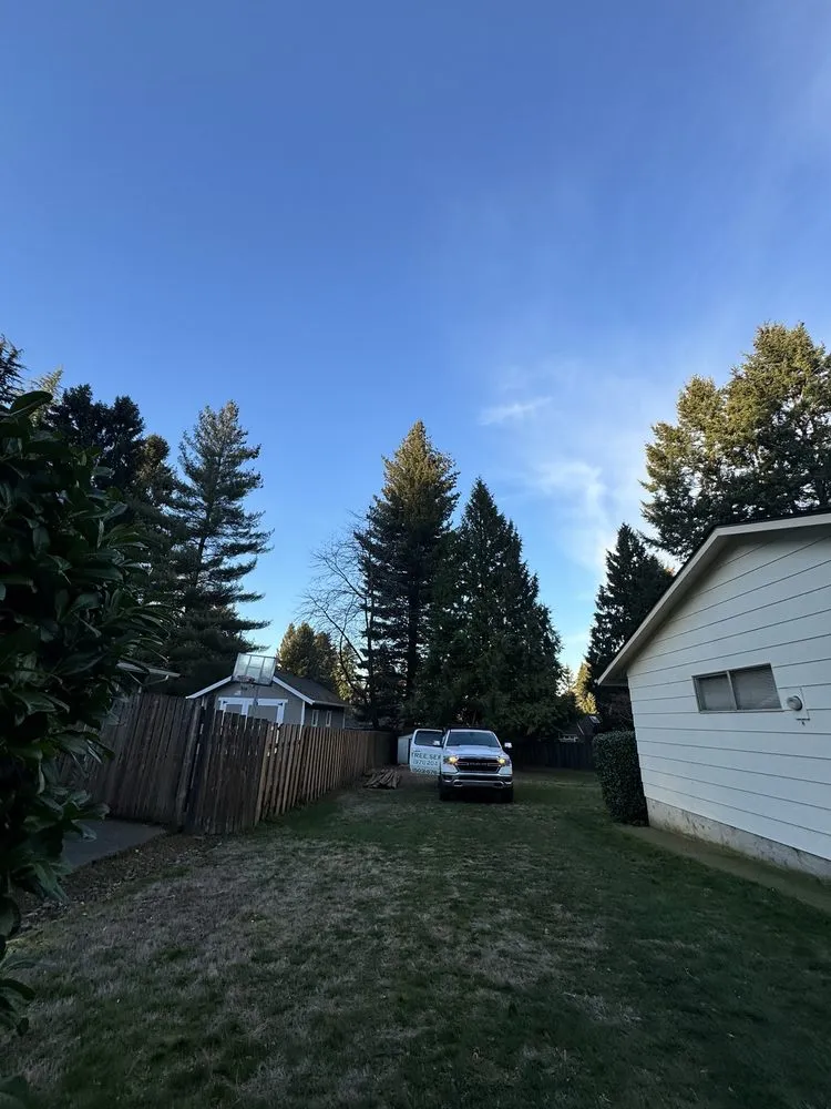 Trusted lawn care service experts serving Gresham, OR - Gerardo's Tree Services