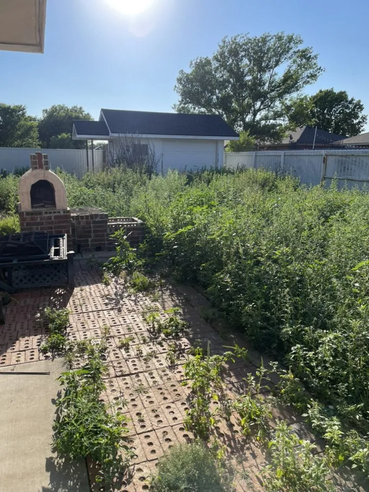 Top-rated yard cleanup service for beautiful yards in Clovis, NM by Gera’s Lawncare