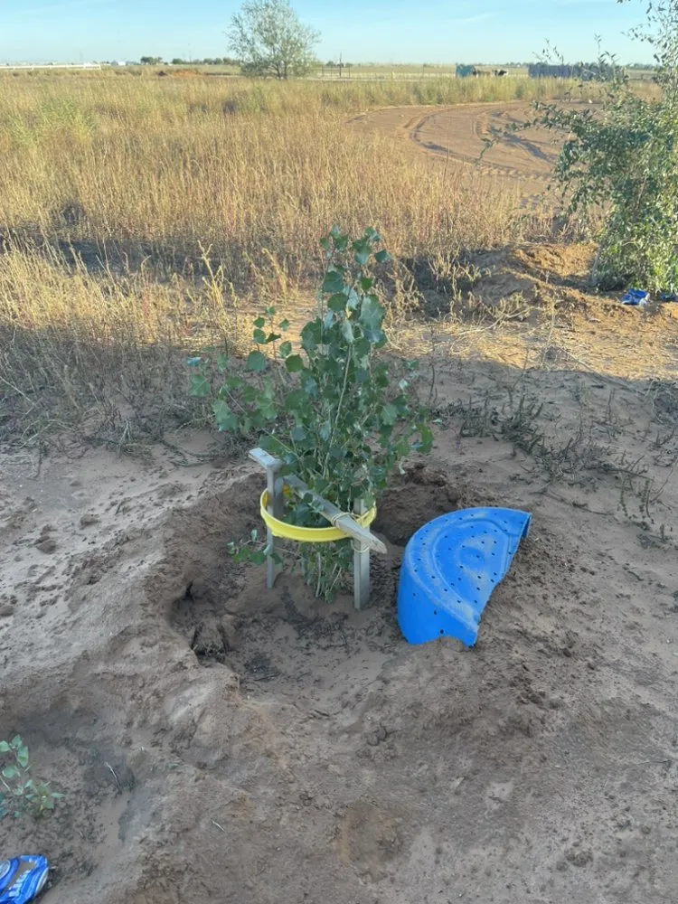 Local landscape design for beautiful yards across Clovis, NM - Gera’s Lawncare