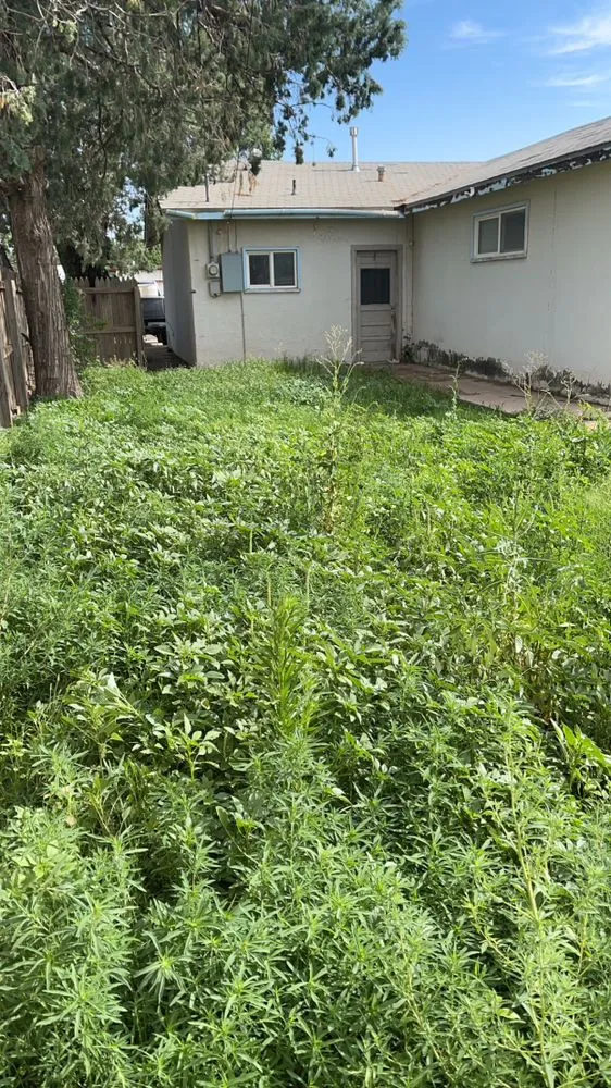 Reliable yard maintenance in Clovis, NM - Gera’s Lawncare