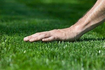 Professional yard maintenance for homes across Xenia, OH - Gerdes Turf Farms