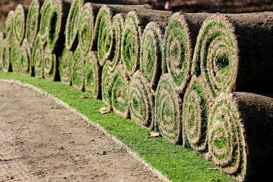 Local residential landscaping with custom design in Xenia, OH by Gerdes Turf Farms