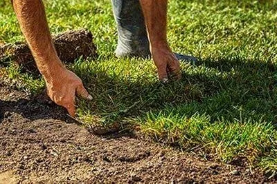 Professional landscape design for year-round maintenance across Xenia, OH - Gerdes Turf Farms