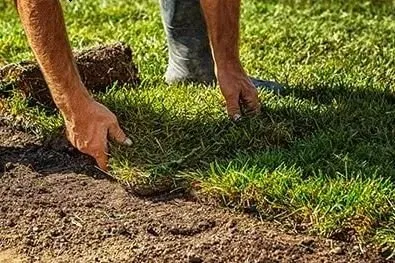 Reliable yard cleanup service experts serving Xenia, OH - Gerdes Turf Farms