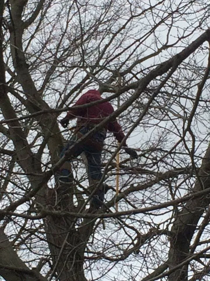 Expert garden landscaping with custom design in East Stroudsburg, PA by Gerhold Tree & Landscaping