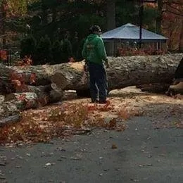 Top-rated landscape design experts serving East Stroudsburg, PA - Gerhold Tree & Landscaping