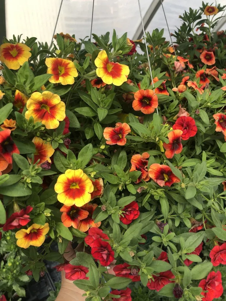 Trusted lawn mowing service in Gering, NE by Gering Garden Center