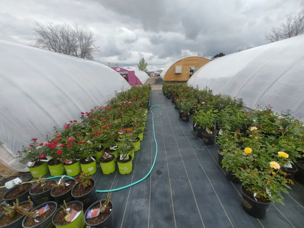 Custom lawn care service in Gering, NE by Gering Garden Center