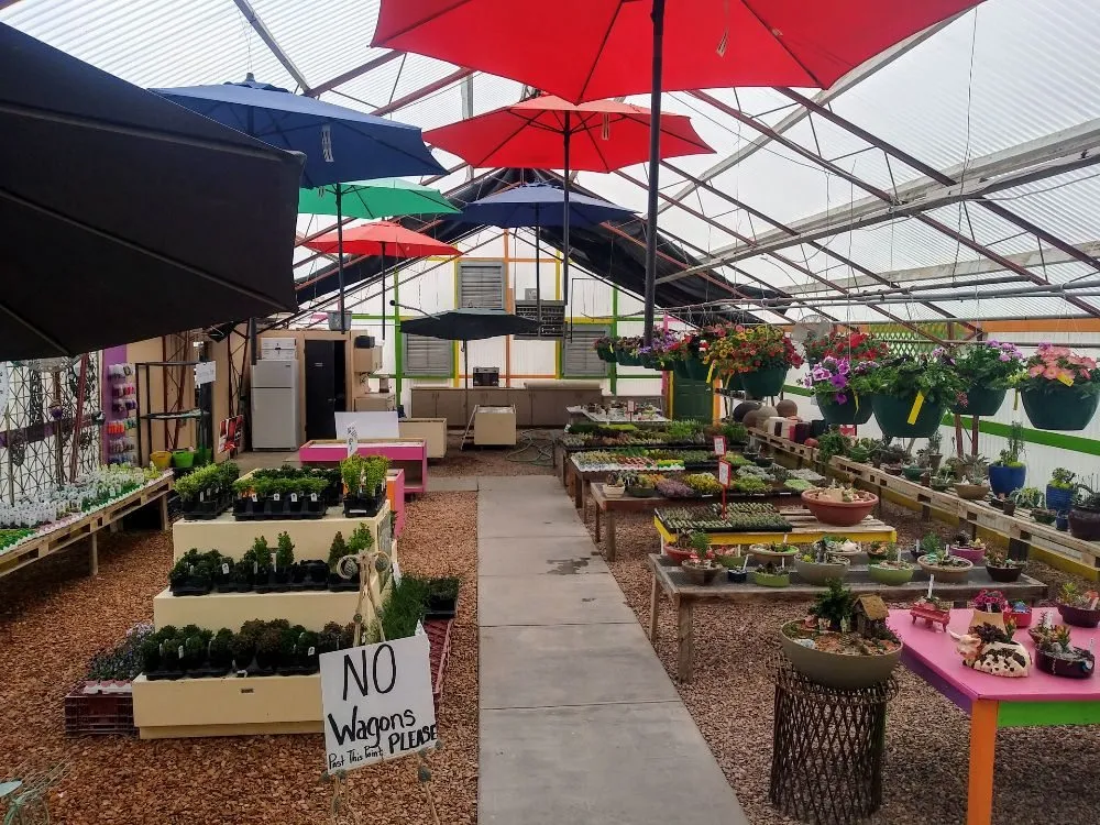 Expert outdoor landscaping for homes in Gering, NE by Gering Garden Center