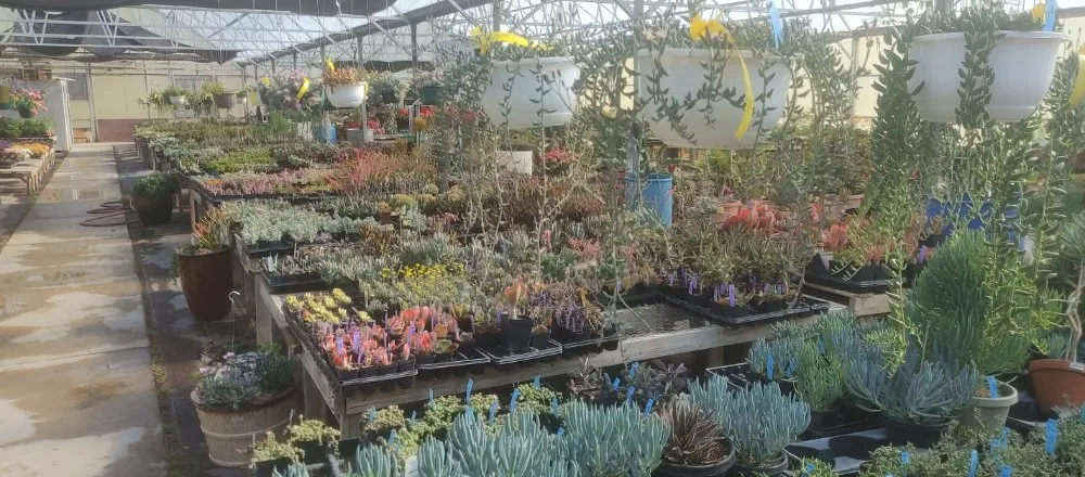 Affordable residential landscaping with custom design across Gering, NE - Gering Garden Center