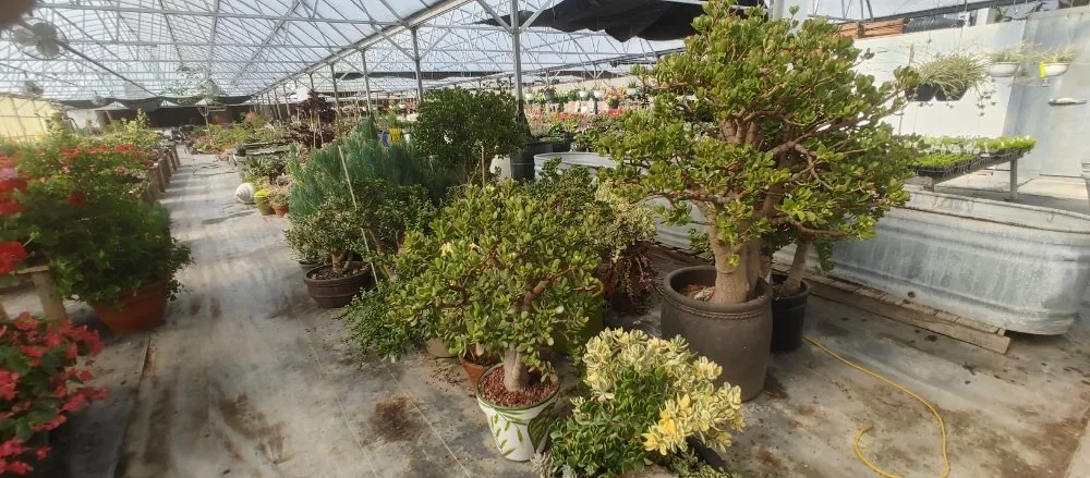 Expert lawn care service for homes across Gering, NE - Gering Garden Center