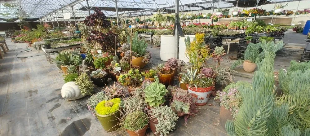 Affordable lawn care service in Gering, NE - Gering Garden Center