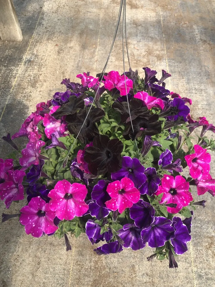 Local landscaping services for beautiful yards in Gering, NE by Gering Garden Center