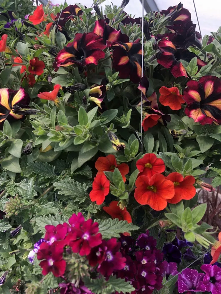 Trusted yard maintenance experts serving Gering, NE - Gering Garden Center