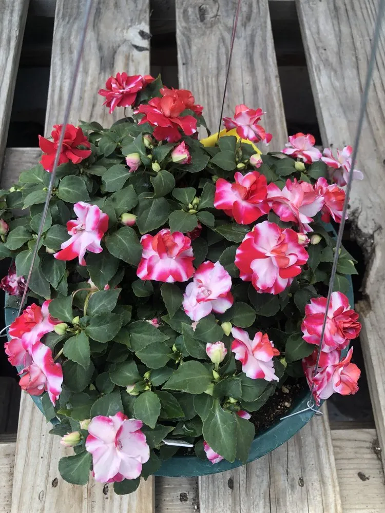 Reliable landscape installation experts serving Gering, NE - Gering Garden Center