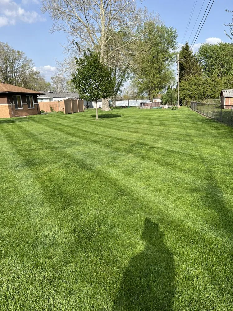 Custom lawn care service for year-round maintenance across Toluca, IL - Gerjets Lawn Care