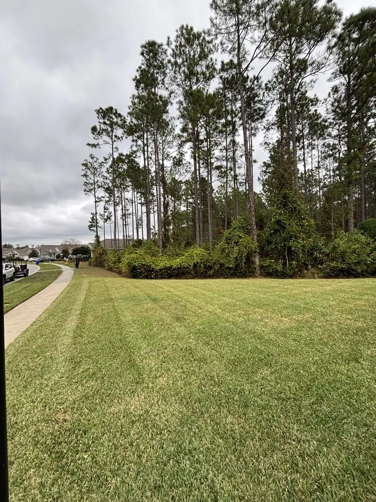 Professional lawn mowing service in St. Augustine, FL - Gerlich Lawn Care
