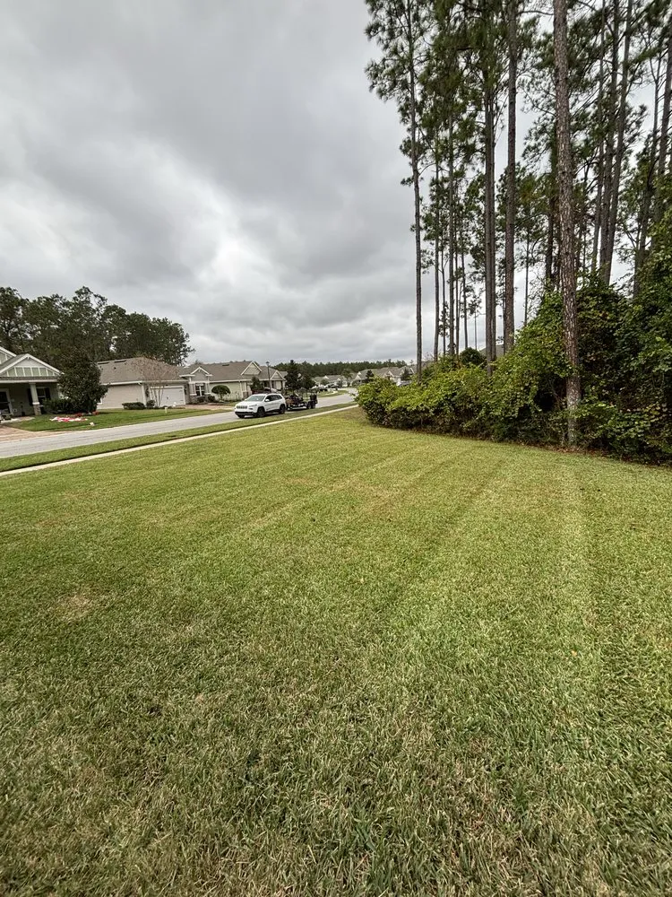 Trusted yard cleanup service for year-round maintenance across St. Augustine, FL - Gerlich Lawn Care