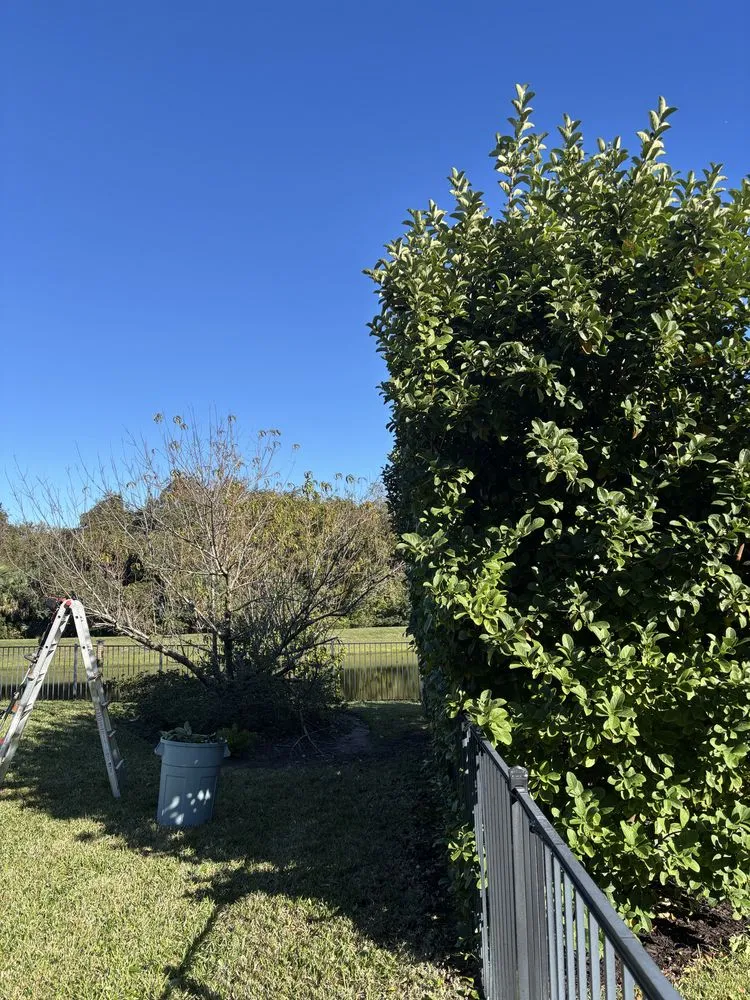 Local outdoor landscaping in St. Augustine, FL by Gerlich Lawn Care