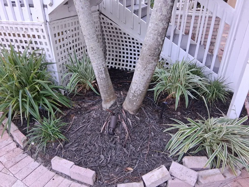 Affordable lawn care service experts serving Bradenton, FL - German R Lawn Service