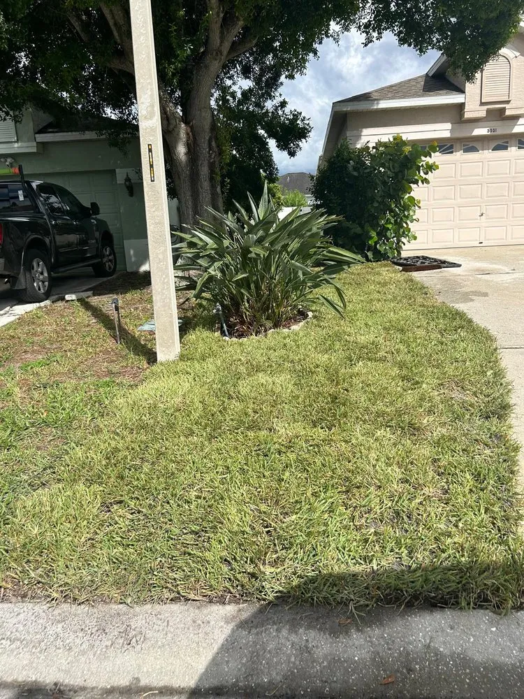 Expert residential landscaping in Bradenton, FL - German R Lawn Service