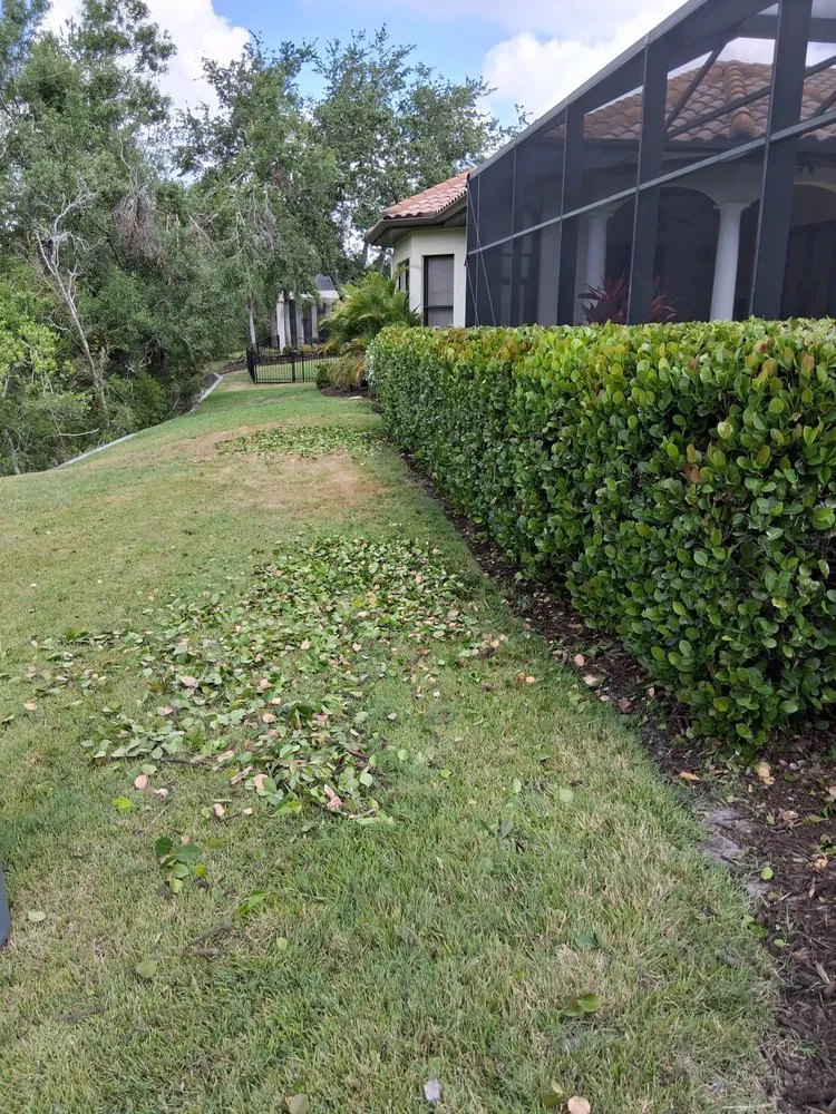 Trusted landscaping services for beautiful yards across Bradenton, FL - German R Lawn Service