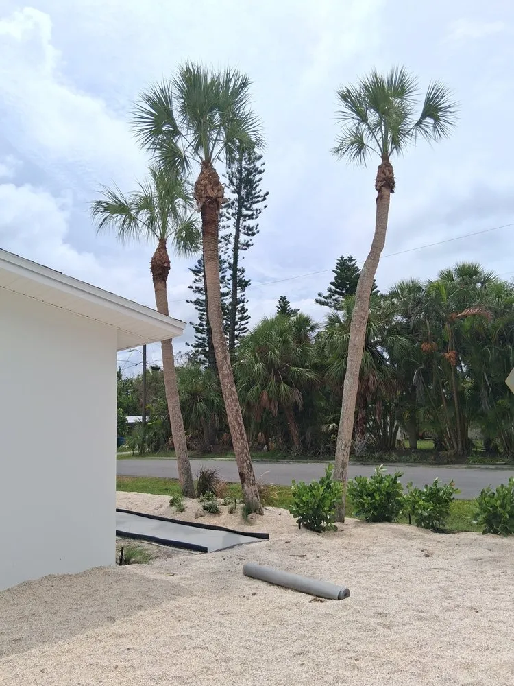 Custom yard cleanup service in Bradenton, FL - German R Lawn Service