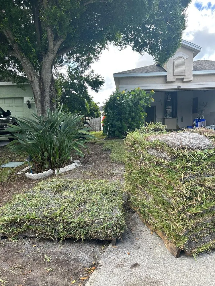Professional outdoor landscaping for outdoor upgrades in Bradenton, FL by German R Lawn Service