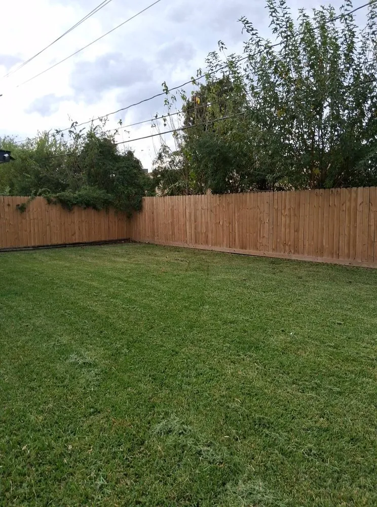 Professional landscape installation in Houston, TX - German Salinas