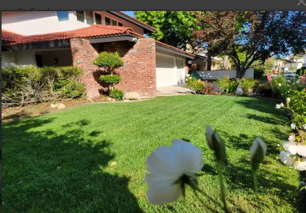 Affordable landscape design in Lomita, CA - Germani's Gardening Services