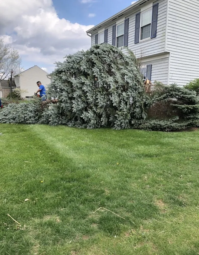 Reliable lawn care service for beautiful yards across Cincinnati, OH - German’s Landscaping