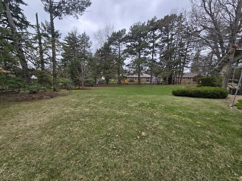 Custom yard cleanup service for residential properties in Red Wing, MN by Germany's Seasonal Lawn & Yard Care