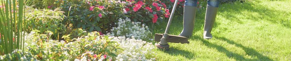 Expert lawn mowing service for homes across Red Wing, MN - Germany's Seasonal Lawn & Yard Care