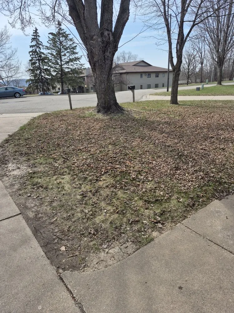 Professional lawn care service in Red Wing, MN - Germany's Seasonal Lawn & Yard Care