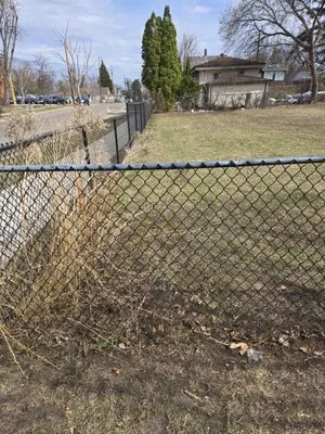 Germany's Seasonal Lawn & Yard Care