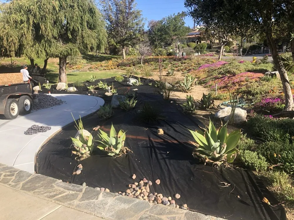 Reliable yard cleanup service experts serving Fallbrook, CA - Geronimo Landscape