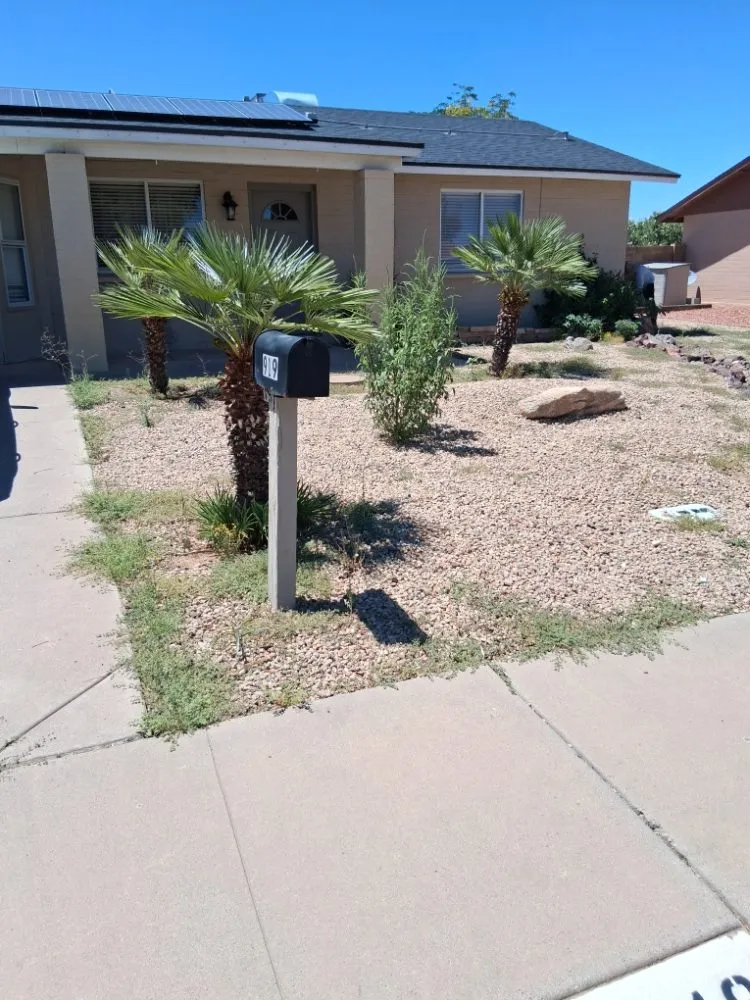 Professional garden landscaping near you in Phoenix, AZ by Geronimo Pacheco Landscaping