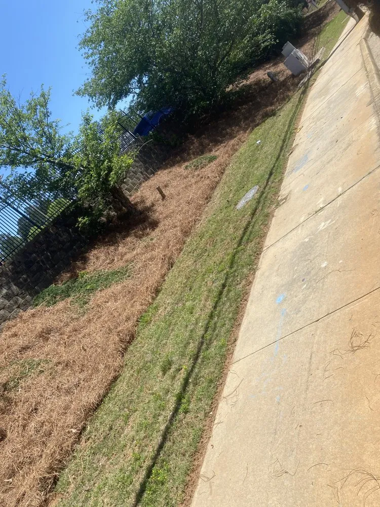 Trusted yard cleanup service for residential properties across Winder, GA - Gerries Landscaping Home Services